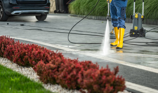 Best Driveway Pressure Washing  in Richmond, KY